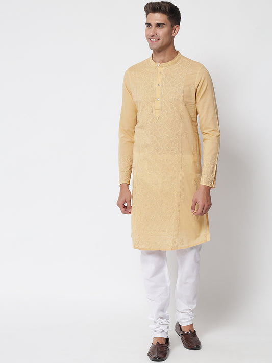 Men's Beige Chikankari Kurta with Central Panel Embroidery